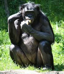 Malnevasleep's tweet image. Le SDF qui m&apos;a dit &quot;t&apos;es un laid&quot;