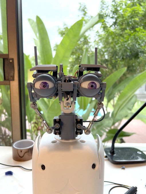 SHOW Robotics robot with expressive eyes on a desk
