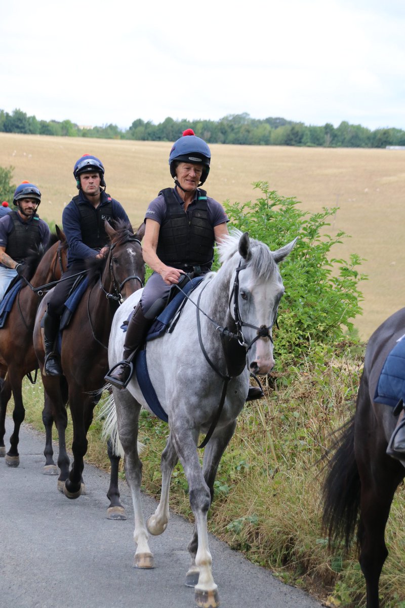 OldGoldRacing's tweet image. The hard work has begun for the team at @benpauling1's yard!
We can't wait to watch The Hawkstonian and DropEmAtTheStation this season... 💪