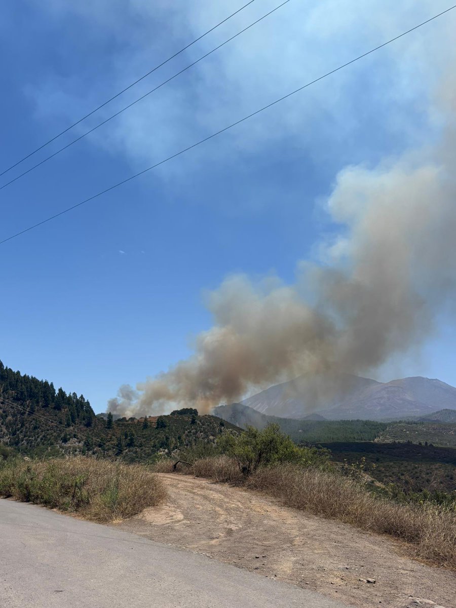 112 Canarias (@112canarias) on Twitter photo 📢Atención 📢
Conato de incendio en la zona de Erjos, en Santiago del Teide #Tenerife
➡️Intervienen Medio Ambiente <a href="/CabildoTenerife/">Cabildo de Tenerife</a>, Policía Local, <a href="/guardiacivil/">Guardia Civil</a> y Guardia Rural 📢Atención 📢
Conato de incendio en la zona de Erjos, en Santiago del Teide #Tenerife
➡️Intervienen Medio Ambiente <a href="/CabildoTenerife/">Cabildo de Tenerife</a>, Policía Local, <a href="/guardiacivil/">Guardia Civil</a> y Guardia Rural