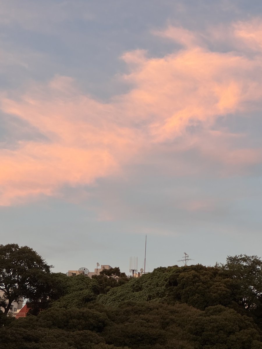 ashtangayy's tweet image. うちのシーズに似ている雲