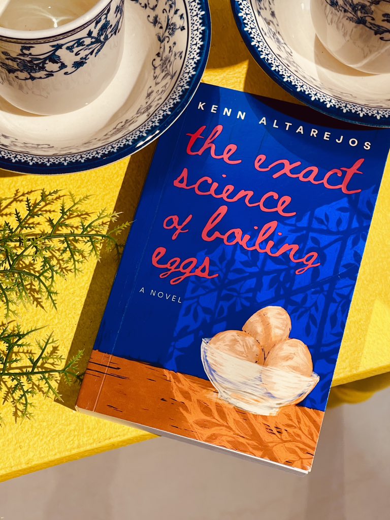 recent book cover i did ⁎⁺˳✧༚