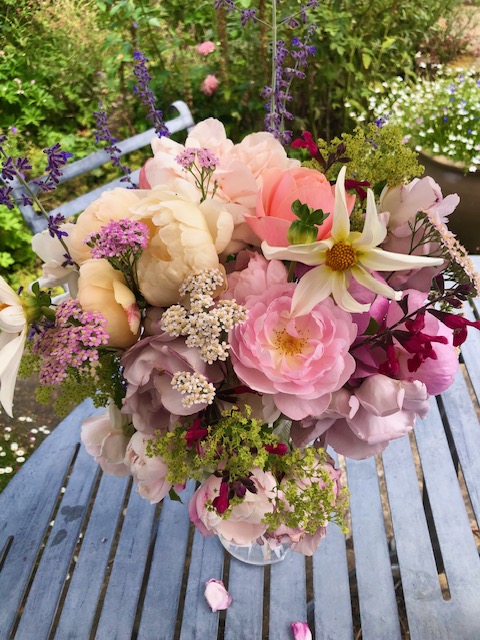 I'm in the drought-stricken SE and thought my garden had had its last hurrah - but no! 
I picked these this morning. Some roses are still going strong, lovely salvias of course, dahlias, astilbe &amp; Russian sage - and ever-pretty-in-lime, alchemilla mollis. #gardening #Roses