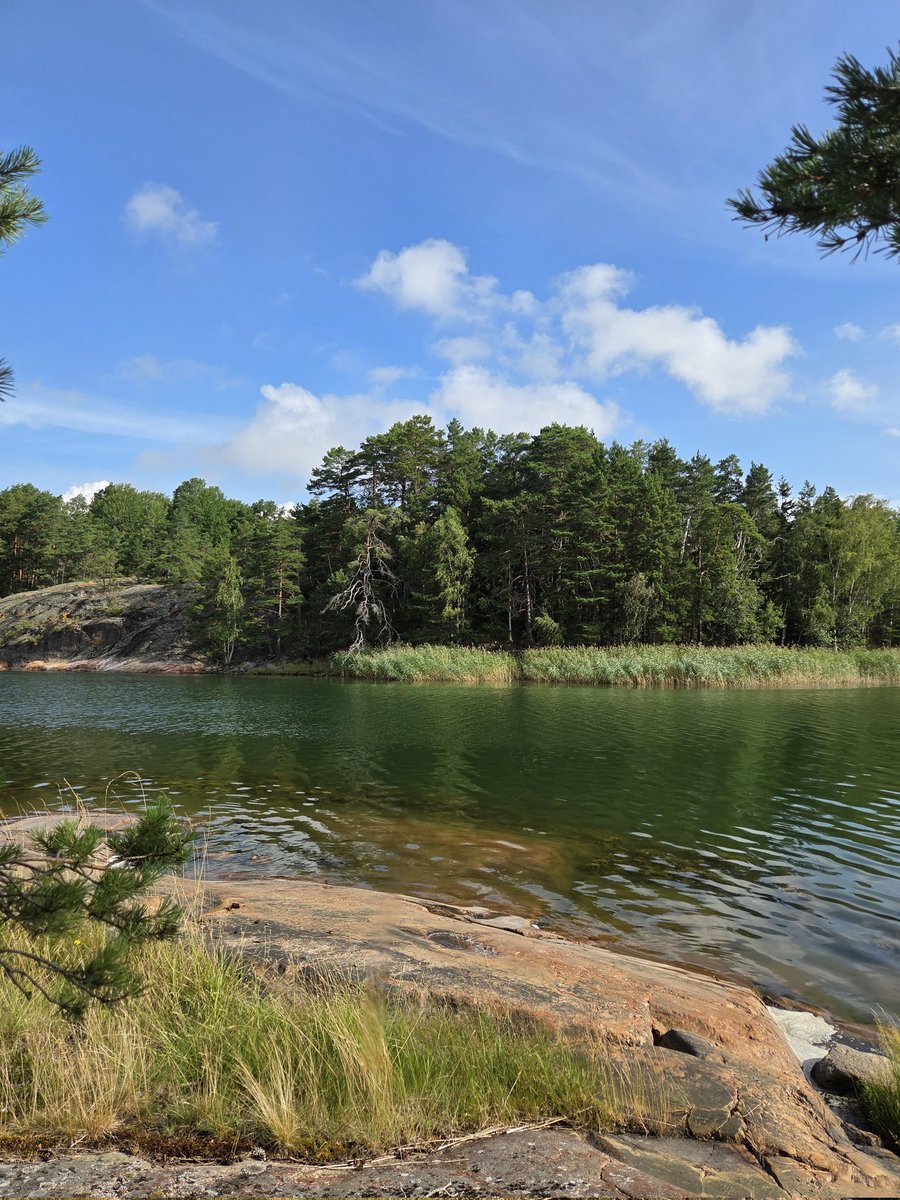 Piam68377597's tweet image. Heinäkuu 💙💚💙
#BlueMonday
#NatureBeauty