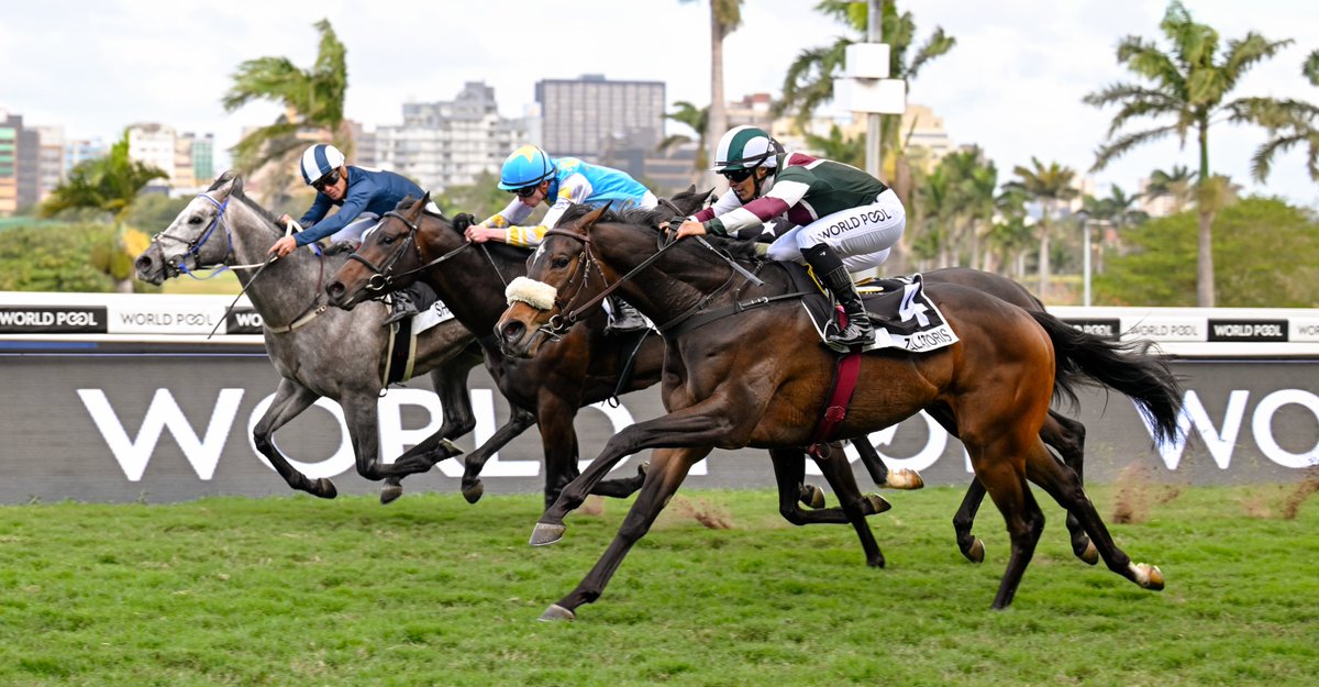 RaceCoastSales's tweet photo. Classy two-year-old Zalatoris, a R200 000 buy from the 2024 Cape Premier Yearling Sale, showed his class when he won the Gr 2 Follow @WorldPool on X Umkhomazi Stakes at Hollywoodbets Greyville on Sunday.

Read the full article:
https://t.co/nTI9BiZlYw

#caperacingsales #PYS2024 https://t.co/ZRJCx0Dhez
