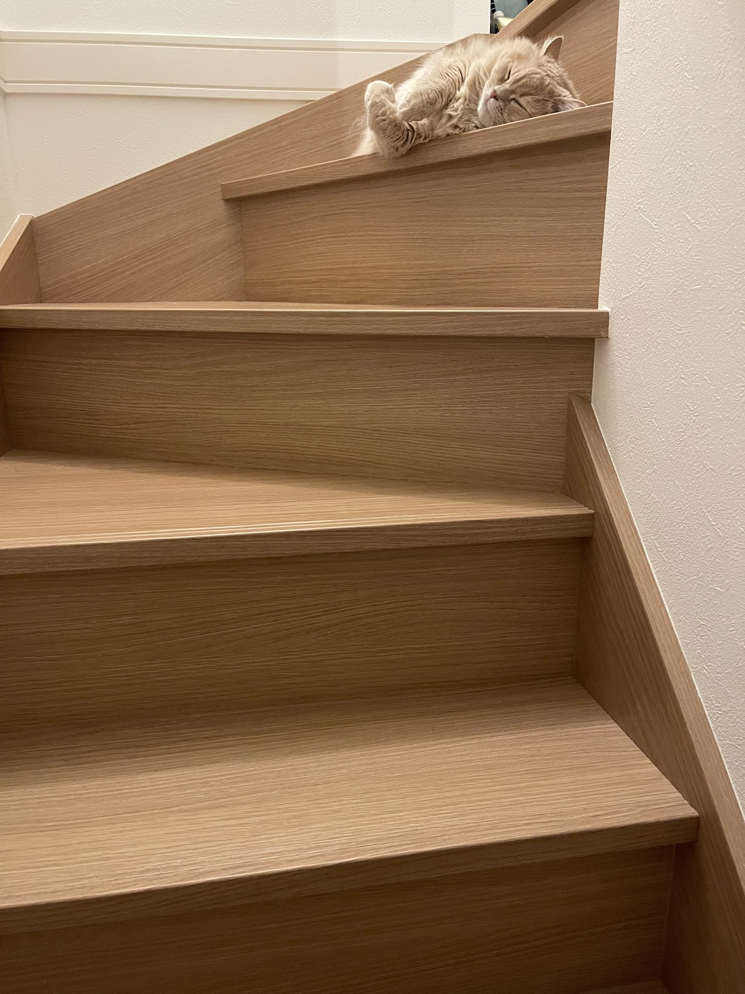 おほしさまページ Amazon.co.jp: 星の王子さま[しおり]2WAY BOOKMARKER/渡り鳥と
