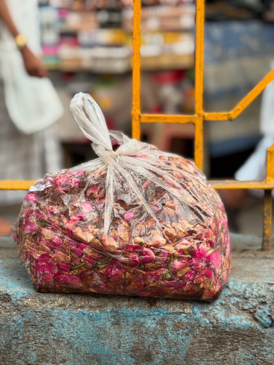 thedelhiwalla's tweet image. on the kismet of rose