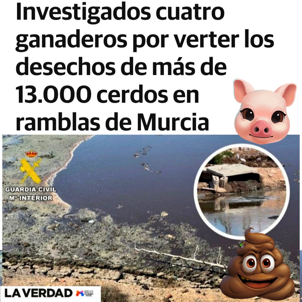 La Región de Murcia es un negocio para 4 a costa del medio ambiente y la salud pública... Todo para mantener el imperio de sus distintos "señores"...

¿Habéis escuchado condenar el vertido a

1) algún empresario

2) Presidente regional o acólito

3) Partido protege contaminación?