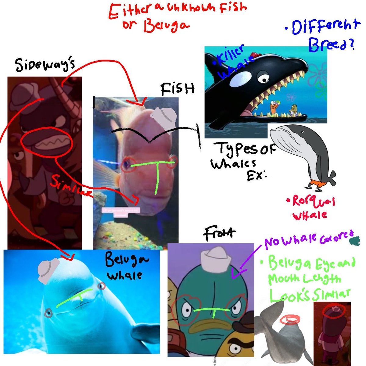Cassyrippy's tweet image. TBT when i tried to find out if this BG character from the spongebob movie was even a whale or a big foreheaded fish