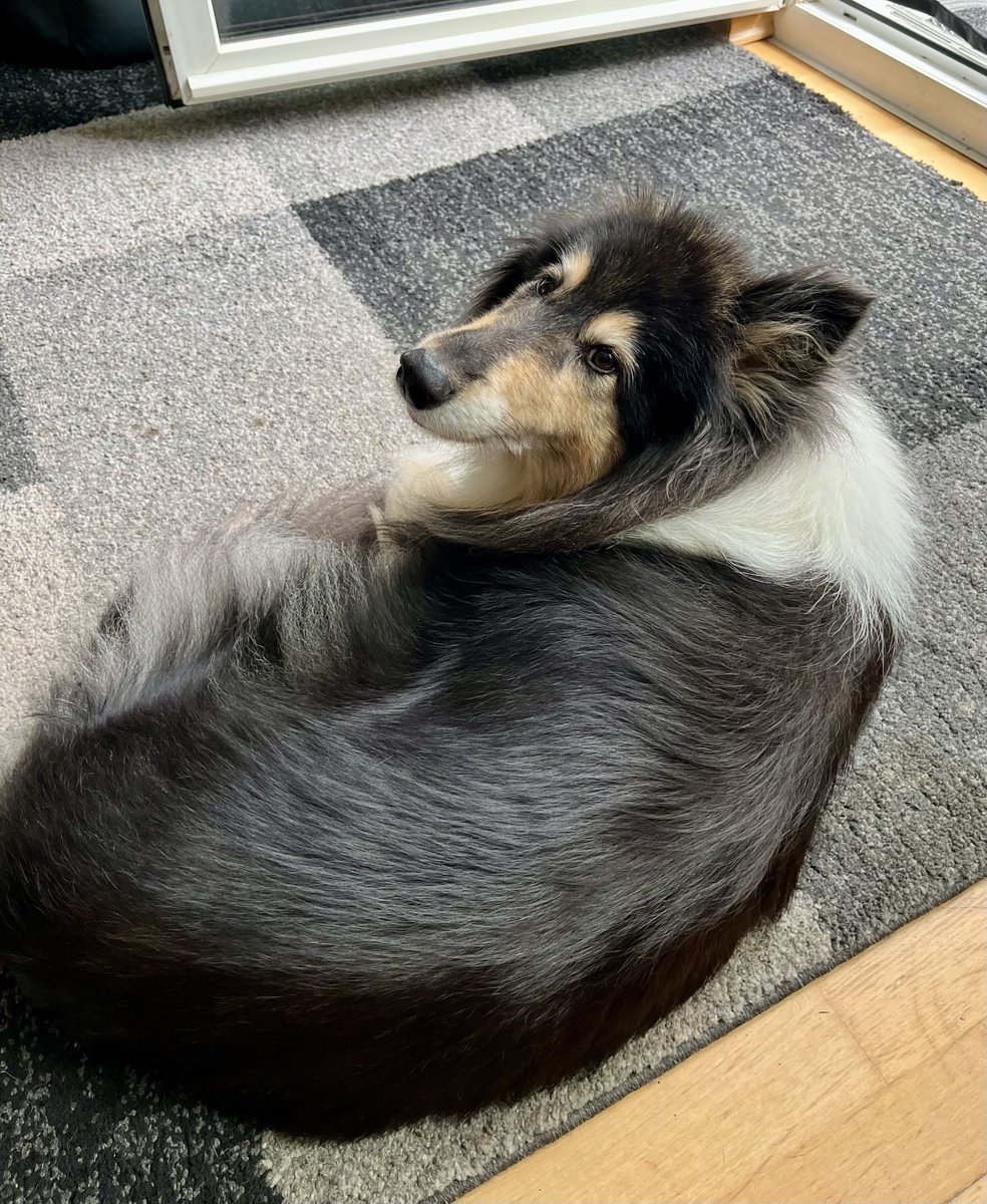 Wieder zuhause zurück, der Rudi ist schon ausgeräumt und die Waschmaschine läuft.
Der nächste Trip geht im Herbst nach Griechenland. Dann aber in voller Besetzung (das heißt Strickzeit beim Fahren für mich 😁).