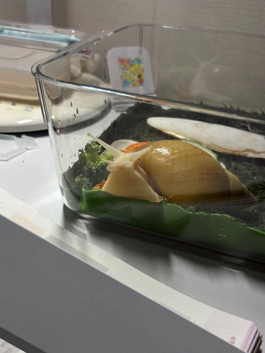 moseul_dall's tweet image. 알고 쳐다보는 거니?