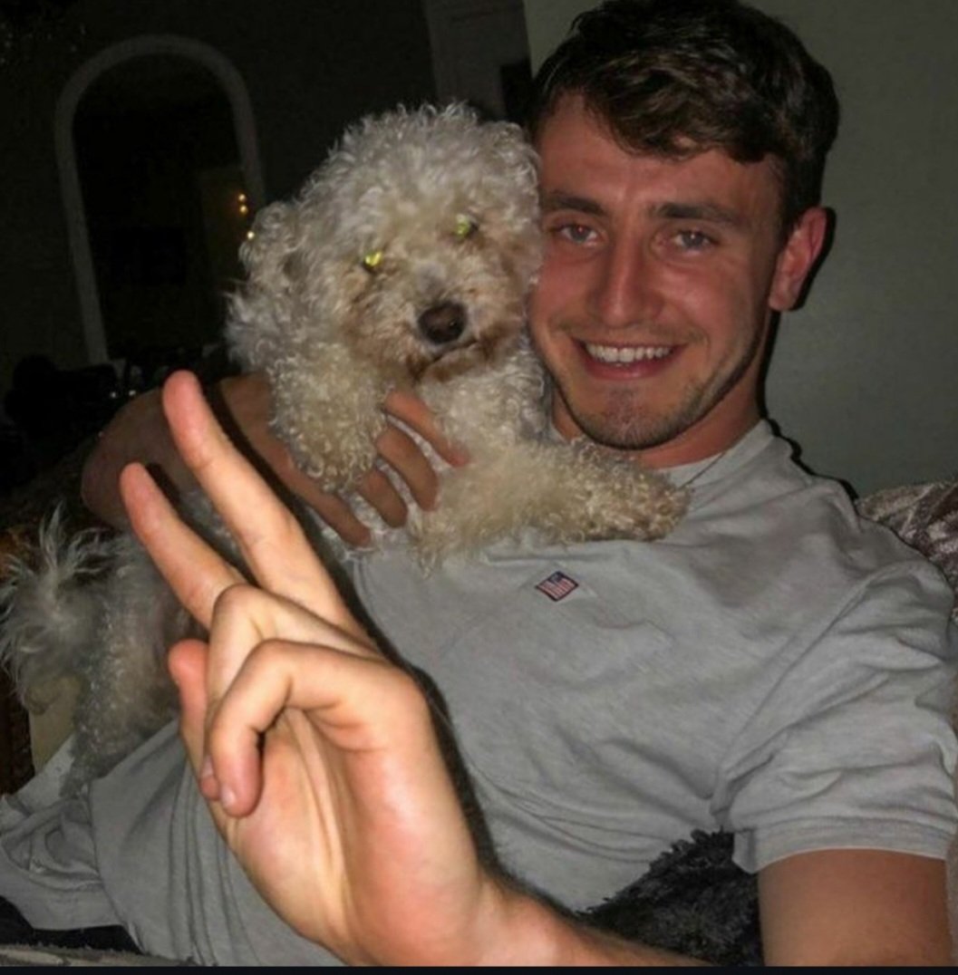 mescalupdates's tweet image. Paul's mother posted that their family dog Bob passed away. Rest in peace angel, and condolences to the family 💔 thank you Dearbhla for speaking up for the animals in Gaza, many of which were killed by Israel's war crimes.