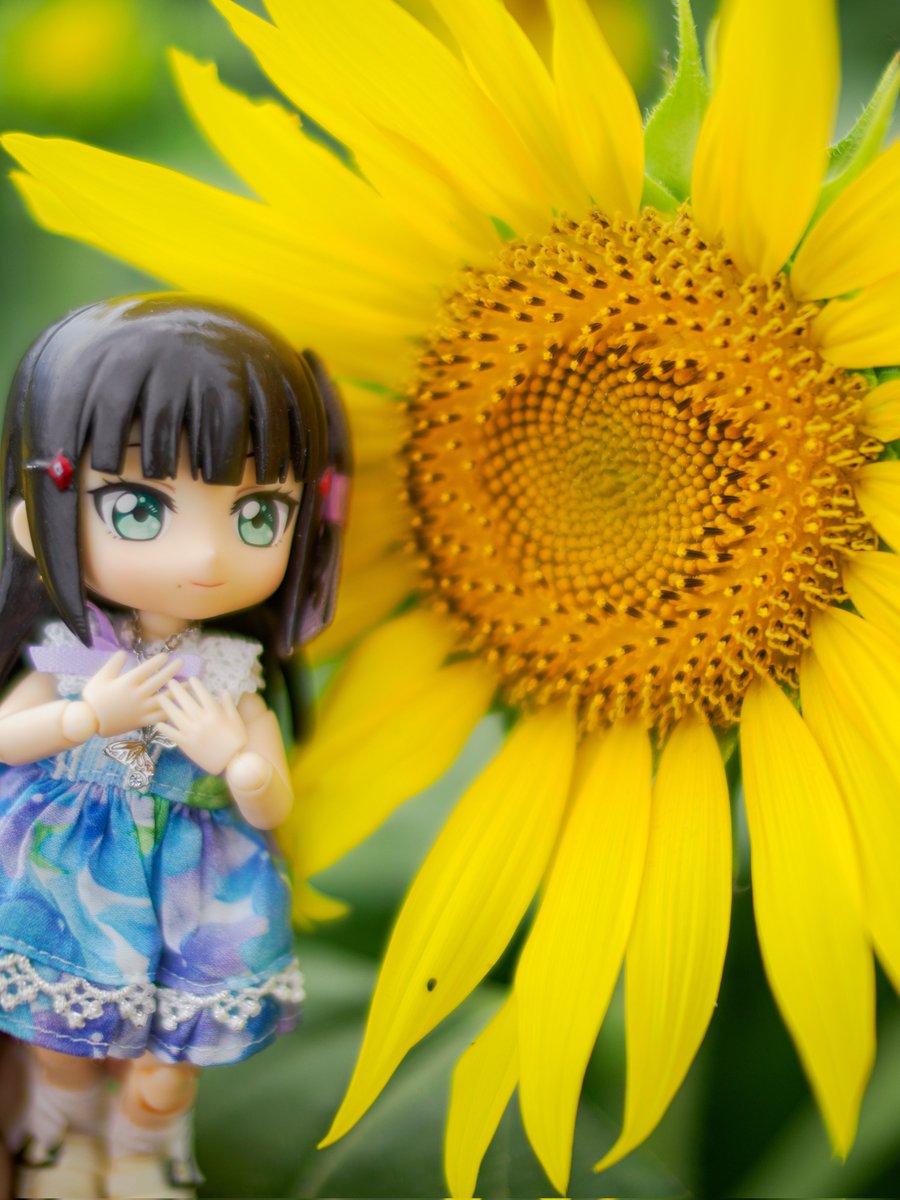 shiratorisan_V2's tweet image. わたくしと同じ場所に黒子がありますわ🌻