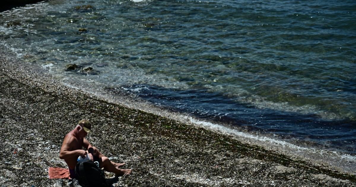 TheTOC_gr's tweet image. Π. Φάληρο: Ανατροπή με το τρίχρονο κοριτσάκι - Σε πνιγμό αποδίδεται ο θάνατός της, μυστήριο η ταυτότητά της thetoc.gr/koinwnia/artic…