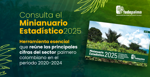 FedepalmaOrg's tweet image. Consulta el Minianuario Estadístico 2025, una herramienta esencial que reúne las principales cifras del sector palmero colombiano en el periodo 2020-2024
Este documento es una ventana de información del pasado, presente y futuro de una agroindustria 📊🌴 #PalmaSostenible…