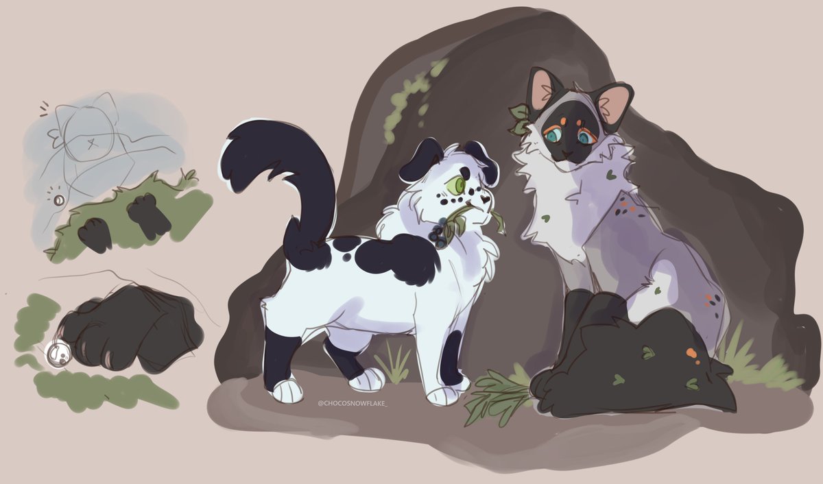 chocosnowflake_'s tweet image. meows.
#warriorcats #wc #oc