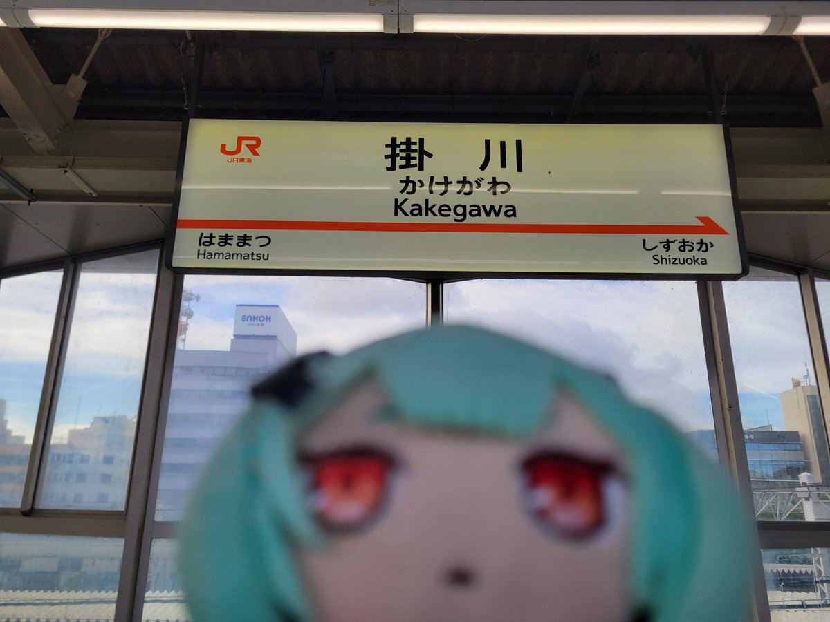 psycho_rock9's tweet image. ぬいぐるみの色合いで気温が分かる