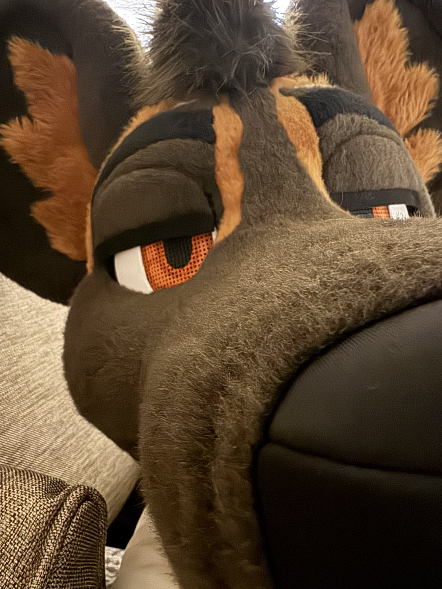 I can’t wait to do my year in review this year

I just checked my calendar and since May I have had no free weekends between local parties and traveling to see friends

And that continues until Mega! 

Will be in Colorado this weekend celebrating my birthday with <a href="/smolmutt/">MUTT MAN</a>

❤️🐕