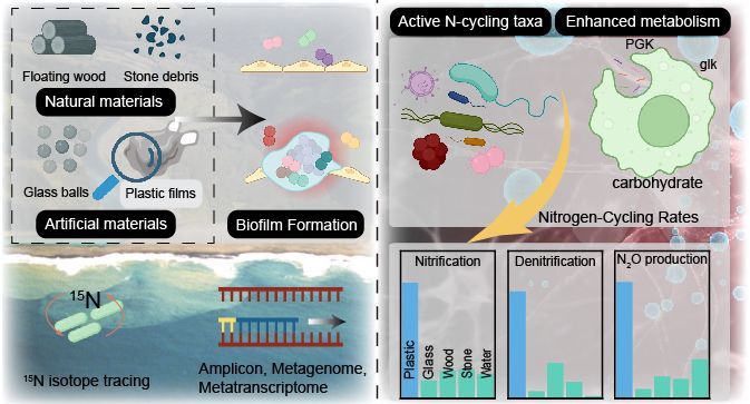 GlobalChangeBio's tweet image. Plastic Biofilms as Hotspots of Nitrogen Cycling in Estuarine Ecosystems: Comparative Ecological, Genomic, and Transcriptomic Analysis Across Substrates 

🔗 buff.ly/MvXzA3V