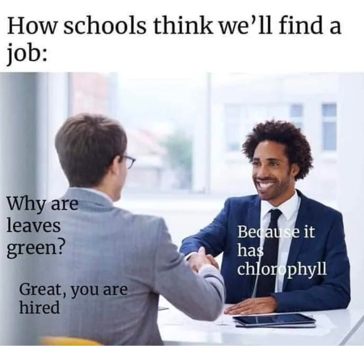 This meme is brought to you by an 8th grader