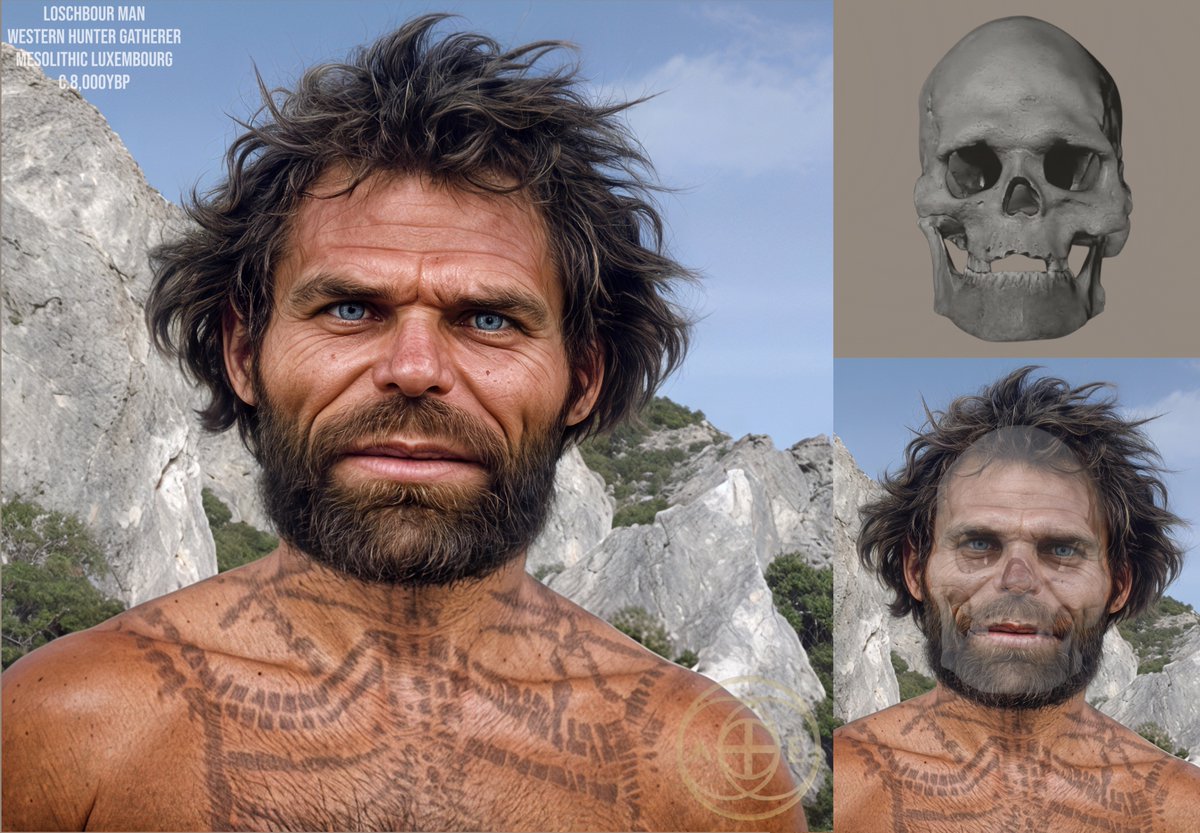 ancient_euro3's tweet image. Loschbour Man
Western Hunter Gatherer
Mesolithic Luxembourg
c.8,000ybp
Age: 30’s
Loschbour Man is an 8,000-year-old skeleton discovered in a rock shelter in Mullerthal, Luxembourg, representing one of the best-preserved examples of a Western Hunter-Gatherer (WHG) from the…