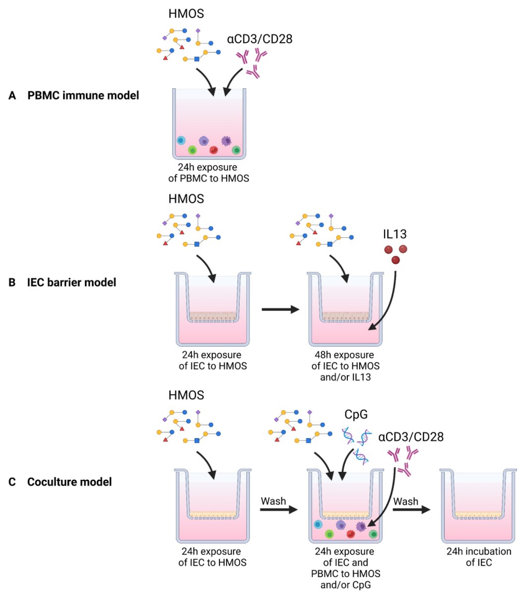 Biomol_MDPI's tweet image. #HighlyCitedPaper
"Specific Human Milk Oligosaccharides Differentially Promote Th1 and Regulatory Responses in a CpG-Activated Epithelial/Immune Cell Coculture" by Marit Zuurveld, et al.
Cited 17 times | Viewed 3915 times.
Read now ➡️ brnw.ch/21wUtRP