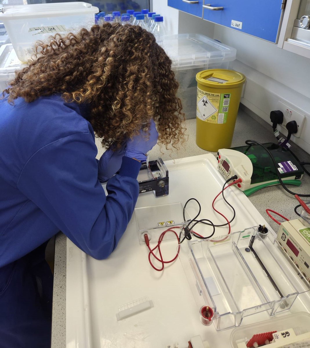 SciencesNCL's tweet image. 🧬 After extracting DNA from water samples, Mia checked quality via gel electrophoresis—success! The 16S region was intact. Now she is running Nanopore sequencing to ID bacteria &amp;amp; explore microbial diversity. Results coming soon… stay tuned! #EnvironmentalMicrobiology #WeAreNCL