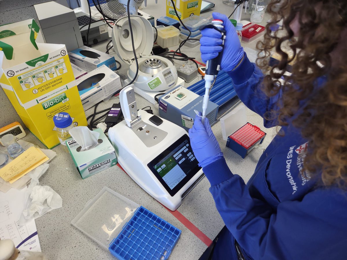 SciencesNCL's tweet image. 🧬 After extracting DNA from water samples, Mia checked quality via gel electrophoresis—success! The 16S region was intact. Now she is running Nanopore sequencing to ID bacteria &amp;amp; explore microbial diversity. Results coming soon… stay tuned! #EnvironmentalMicrobiology #WeAreNCL