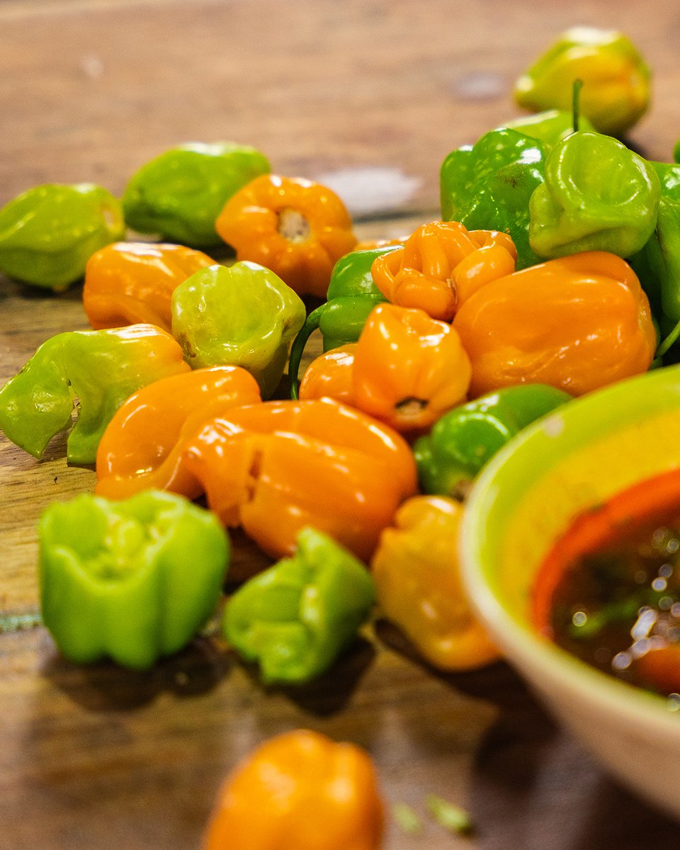 District Taco tweet media