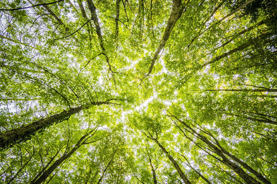 🌍 Happy #WorldNatureConservationDay! ✨ Let's celebrate our planet's beauty and share eco-friendly habits! Together, we can protect our Earth! What eco-friendly habit will you adopt today? #ProtectOurPlanet