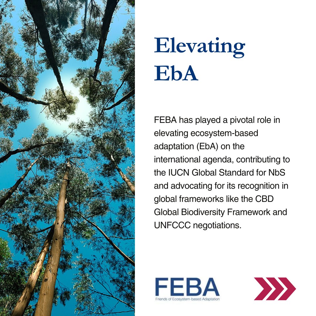 FriendsofEbA's tweet image. This #WorldNatureConservationDay, meet FEBA 🌿—a global network advancing #EcosystemBasedAdaptation 🌍

Since 2015, FEBA has shaped EbA policy, tools &amp;amp; partnerships to scale resilient solutions across sectors.

Learn more: shorturl.at/0lzwN

#ClimateAdaptation #IUCN #FEBA