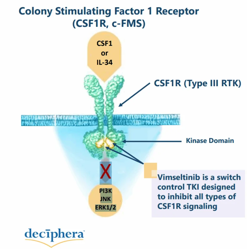 César Serrano García (@drcesarcoma) on Twitter photo 🚨 New therapy approved in #sarcoma!
<a href="/EMA_News/">EU Medicines Agency</a> has granted the use of 🎯CSFR1 #vimseltinib in patients with #TGCT with funtion deterioration and in whom surgical options have been exhausted or would induce unacceptable morbidity or disability
▶️ema.europa.eu/en/medicines/h… 🚨 New therapy approved in #sarcoma!
<a href="/EMA_News/">EU Medicines Agency</a> has granted the use of 🎯CSFR1 #vimseltinib in patients with #TGCT with funtion deterioration and in whom surgical options have been exhausted or would induce unacceptable morbidity or disability
▶️ema.europa.eu/en/medicines/h…