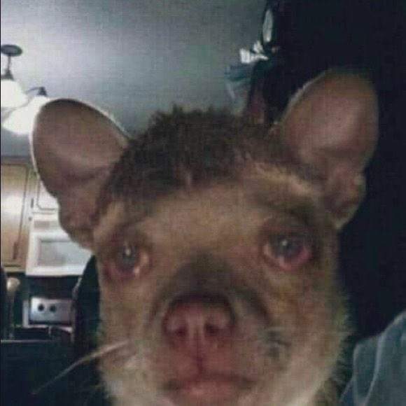 hun256's tweet image. Mwe mpozi amoeba yali mu cre oba math 😒😒it&apos;s urgent guys