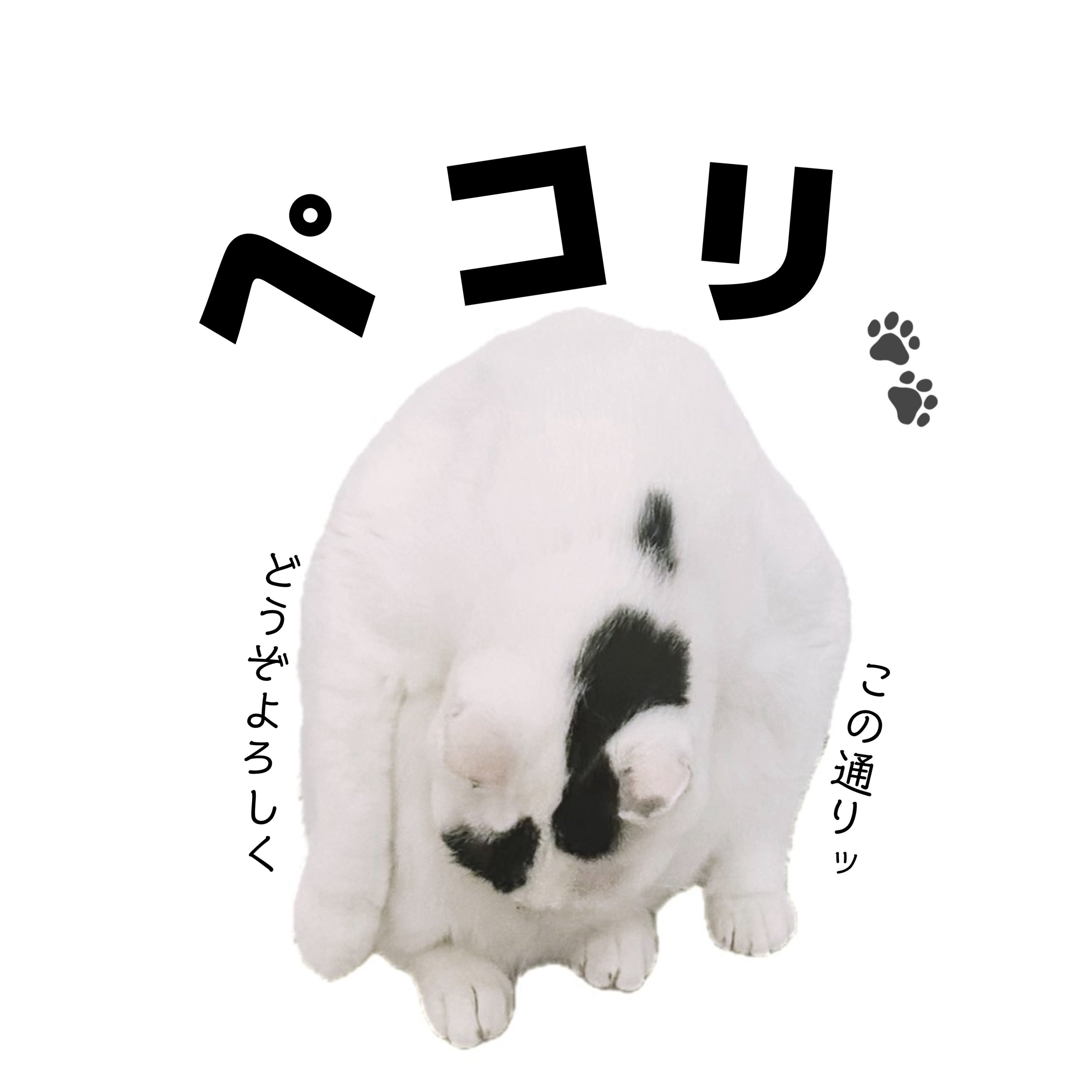 睦月 (@55OpLN2PzadWMjP) / X