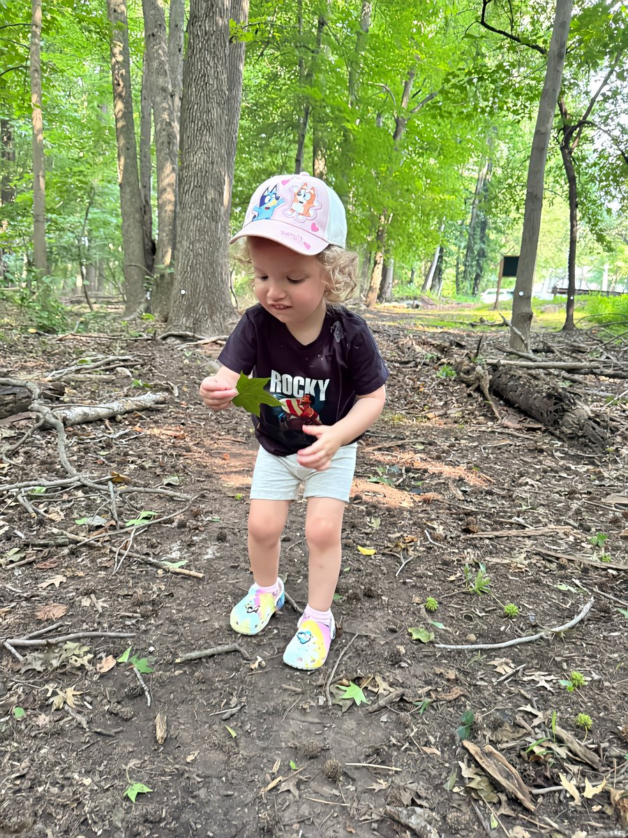 JoeFox's tweet image. Yes, Juliette is here, but still loving my one-on-one time with Charlotte - walk in the woods in Staten Island. See how happy she was putting an uprooted tree back. A nice bike ride through the neighborhood, with pan flutes. Said hello to plenty of people passing by, even stopped…