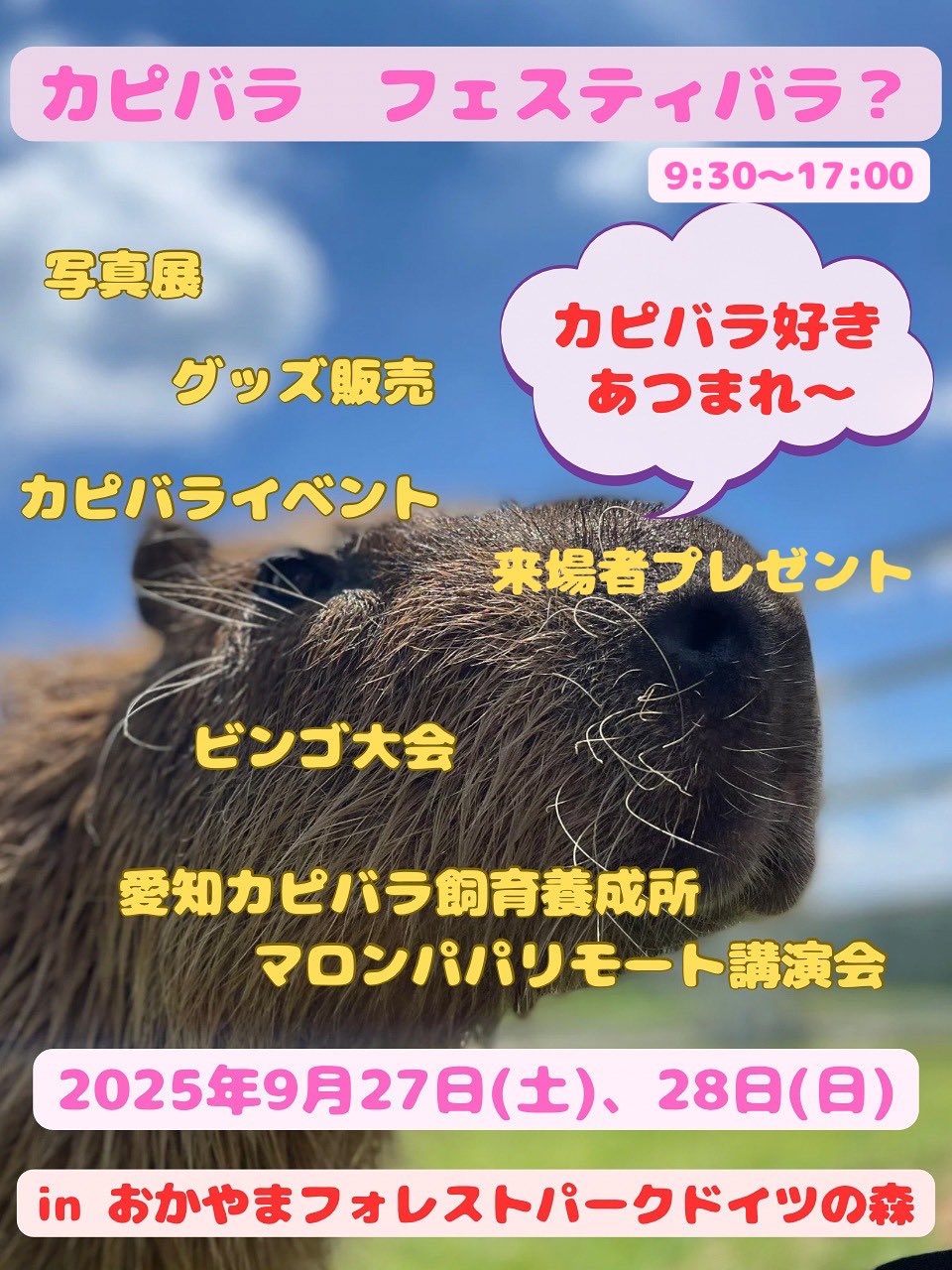 ささ @sasa.capybara (@ice3kyoudai) / X