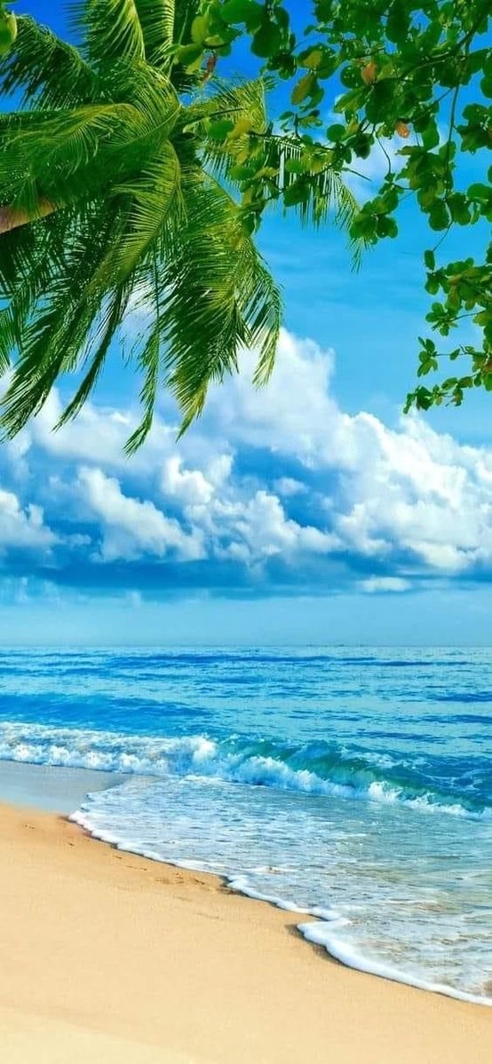 DrRani778897's tweet image. 