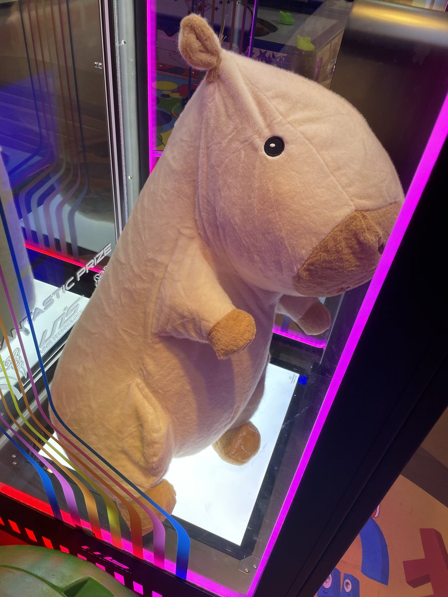 chosta_eth's tweet image. The universe is trying to tell me something. Maybe it&apos;s time for a Yapibara to enter my wallet (the one wallet that doesn&apos;t make bad trades).

Should I pull the trigger?