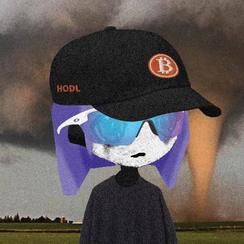 MEMPOOLIO tweet media