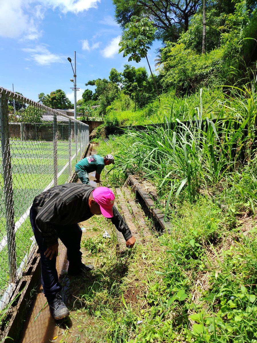 🌿 ¡Dando respuesta a la comunidad!

👷🏽‍♂️Nuestro equipo de Bienes y Servicios Municipales se trasladó a la Colonia Villas de Zaragoza para llevar a cabo labores de chapoda de maleza y limpieza en áreas verdes, gradas y alrededores de la cancha.

 #VillasDeZaragoza #EspaciosLimpios