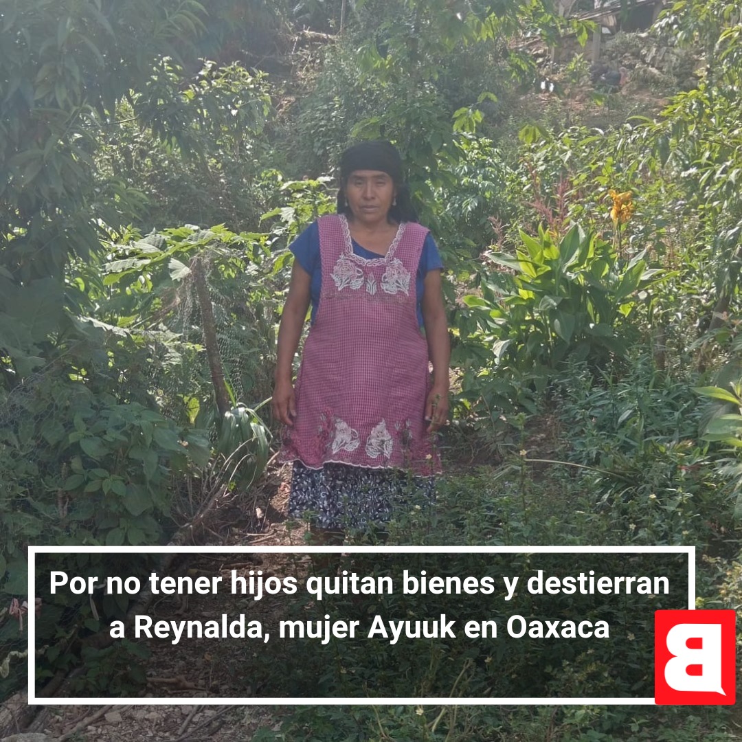 ladobemx's tweet image. Reynalda, mujer Ayuuk originaria de Oaxaca, fue despojada de su casa y cafetales tras enviudar y no tener hijos. Su caso evidencia violencia institucional y discriminación de género en comunidades indígenas.
ladobe.com.mx/2025/07/por-no…