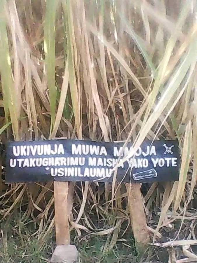 Msije sema sikudhemaaa 😂😂