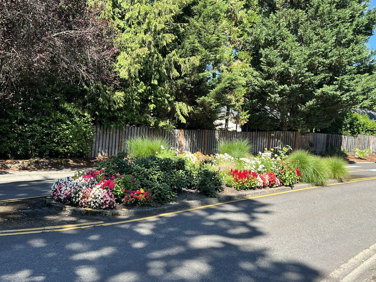 Barry ‘Wieds’ (@bwieds) on Twitter photo Just a boring traffic median turned into art about a mile into today’s walk!
<a href="/vivien2112/">Vivien</a> <a href="/CHTCOTH/">Craigly Hightower The Climber Of Things High 🧗🟦</a> <a href="/Jenniferkunkel/">Jennifer Kunkel</a> <a href="/PompeyHutch/">Sarah⭐🕯️The Crazy Prog-loving Goat🐐</a> <a href="/ghostridertripp/">Jonathan the first p is silent Tripp 🇮🇱</a> <a href="/rowtonsandra/">Sandra🇦🇺🇨🇦🇺🇦</a> @jcjpl <a href="/Celosia2/">Celosia2🌼Kristi🪴🌿💚</a> <a href="/newworldrushman/">Albert Ortenzi</a> <a href="/of_maybe/">Mystic Queen of Maybe (Jan) & Teddy 🐈⬛</a> <a href="/Rush74Kyle/">Kyle N</a> <a href="/MikeWardDMD/">Michael Ward</a> Just a boring traffic median turned into art about a mile into today’s walk!
<a href="/vivien2112/">Vivien</a> <a href="/CHTCOTH/">Craigly Hightower The Climber Of Things High 🧗🟦</a> <a href="/Jenniferkunkel/">Jennifer Kunkel</a> <a href="/PompeyHutch/">Sarah⭐🕯️The Crazy Prog-loving Goat🐐</a> <a href="/ghostridertripp/">Jonathan the first p is silent Tripp 🇮🇱</a> <a href="/rowtonsandra/">Sandra🇦🇺🇨🇦🇺🇦</a> @jcjpl <a href="/Celosia2/">Celosia2🌼Kristi🪴🌿💚</a> <a href="/newworldrushman/">Albert Ortenzi</a> <a href="/of_maybe/">Mystic Queen of Maybe (Jan) & Teddy 🐈⬛</a> <a href="/Rush74Kyle/">Kyle N</a> <a href="/MikeWardDMD/">Michael Ward</a>