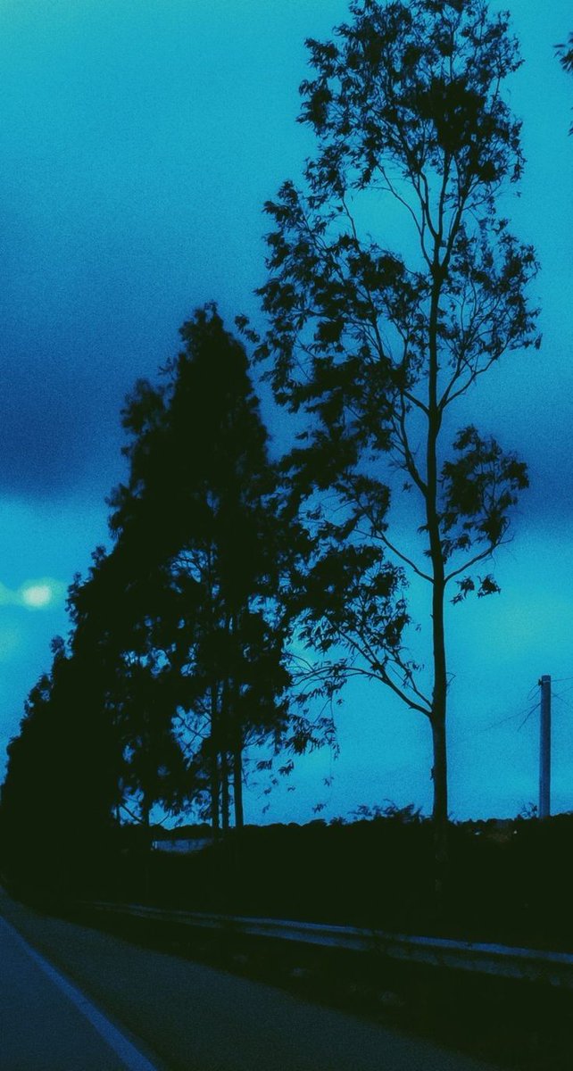 <a href="/clelialino1/">clelia lino</a> Lo strepito delle piume
Se ti accosti vicino agli orecchi,
Il tuo fischio che recinge
Il mio regno di fitte siepi
Lascia un labile segno
La lusinga che mi rechi.

Leonardo Sinisgalli