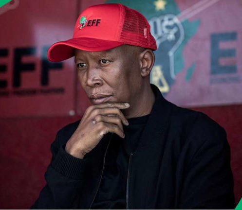 Judaeda3's tweet image. Julius Malema says Phala Phala theft must not be forgotten, SA says: &quot;VBS must be added to the list”
 Yoh🤔