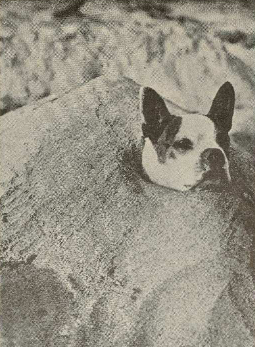 "Boba smilšuvannas."

/Atpūta, 08.05.1925