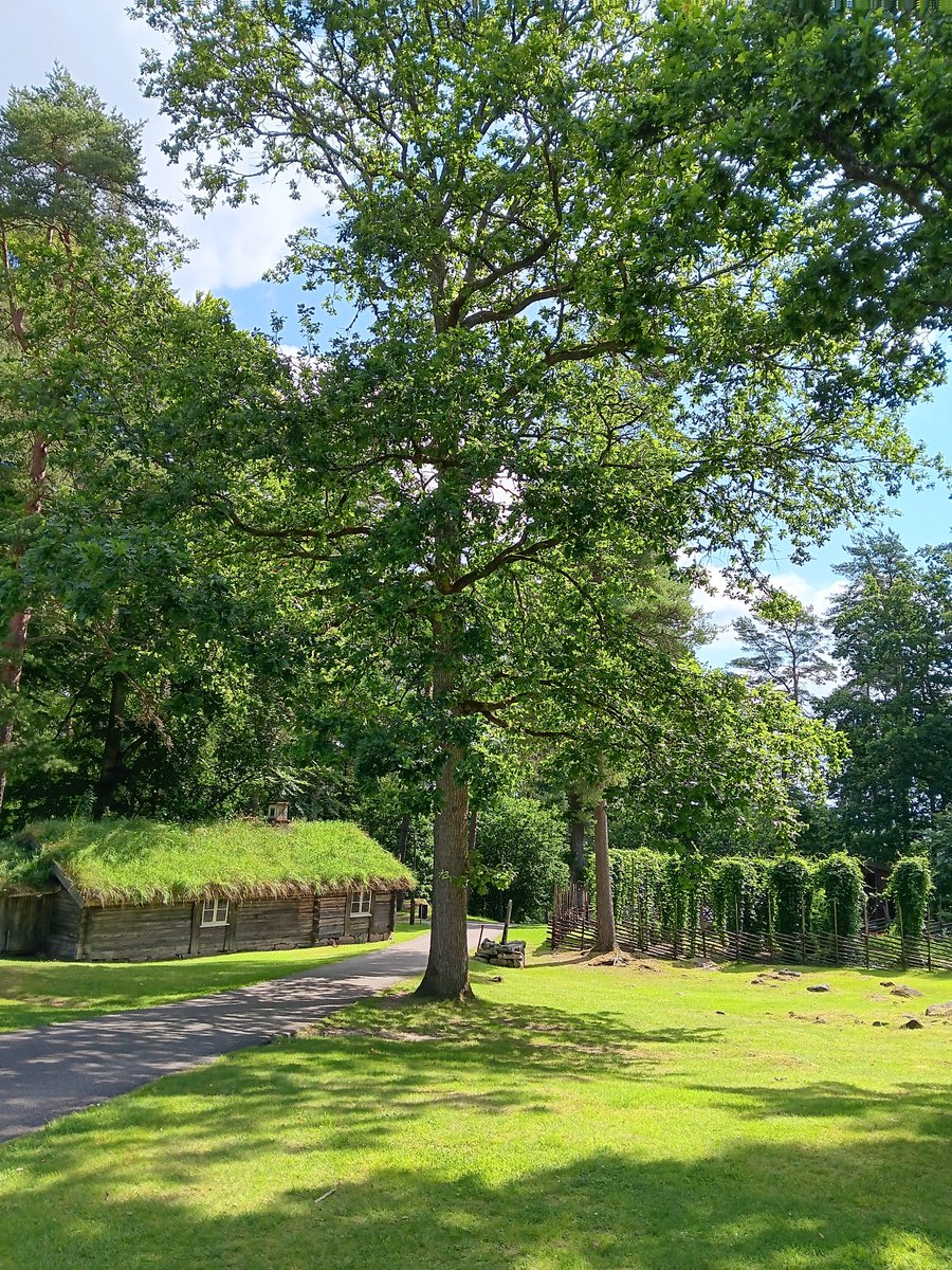 AnetteJonasson's tweet image. A walk in a lovely park today ☺️
Old houses and old trees, a perfect match 😉🌳☘️
#trees
#NatureBeauty