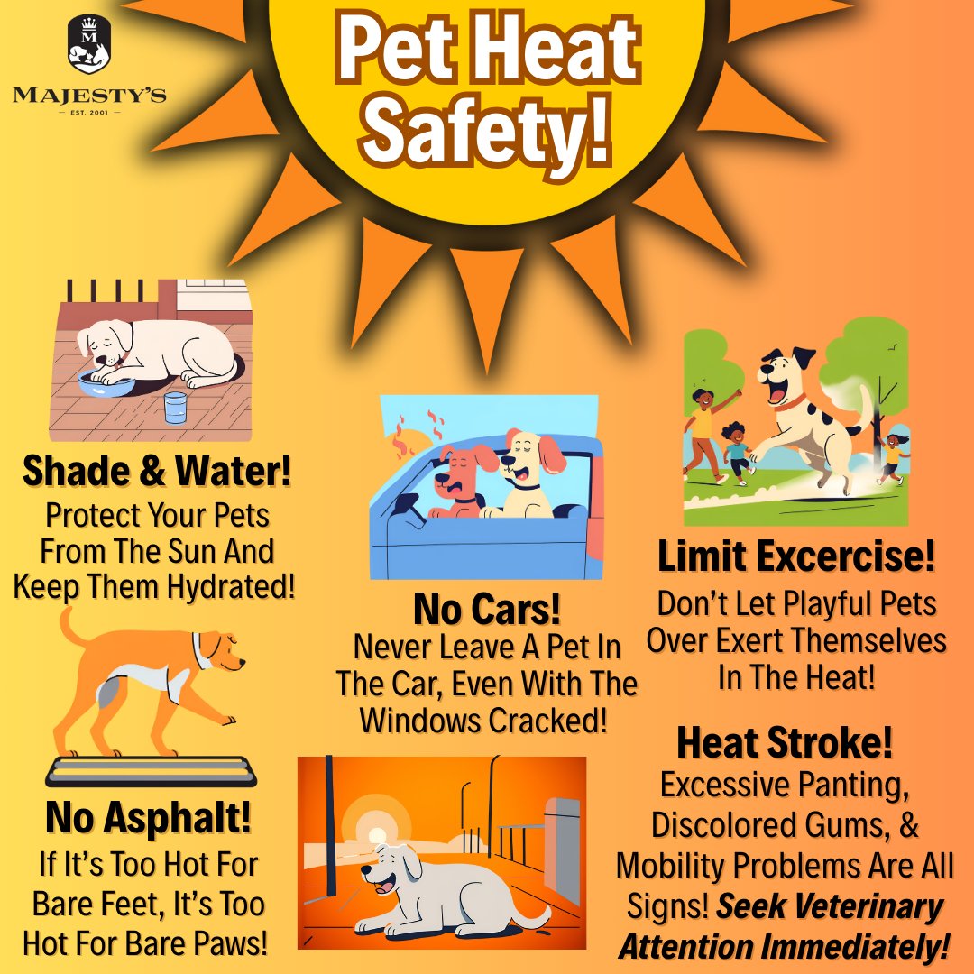 Majestys_Wafers's tweet image. Keep your furry friends cool and safe this summer! ☀️🐾✨ Check out our top tips for pet heat safety and ensure your pets are comfy during the warm months! 💖

#PetSafety #SummerPets #CoolPets #majestys #majestysanimalnutrition #dogs #dogstagram #ilovemydog #doglife #healthydog
