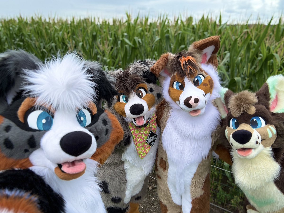 Briar 🐑 (@briarcollie) on Twitter photo Back in the U.S. after an unbelievably wonderful trip. The last 10 days have felt like a dream with <a href="/AlessAndLexie/">Lexie 🔜 EF</a> and <a href="/VarroWolf/">Varro</a> ❤️
Thank you both so much for being such absolute sweethearts and showing <a href="/HeyBayle/">BAYLE earnhardt jr</a> and I around Belgium 🥰
Love you doggies 🐶❤️ I wasn’t ready Back in the U.S. after an unbelievably wonderful trip. The last 10 days have felt like a dream with <a href="/AlessAndLexie/">Lexie 🔜 EF</a> and <a href="/VarroWolf/">Varro</a> ❤️
Thank you both so much for being such absolute sweethearts and showing <a href="/HeyBayle/">BAYLE earnhardt jr</a> and I around Belgium 🥰
Love you doggies 🐶❤️ I wasn’t ready