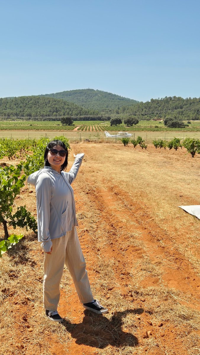 Pablo J. Zarco-Tejada (@zarcotejada) on Twitter photo Airborne hyperspectral and field campaign for innovative fluorescence, photosynthesis & water stress in vineyards and orchards in Valencia, Spain. Collaborative research between <a href="/DIntrigliolo/">Diego Intrigliolo</a> <a href="/CidEinvestiga/">CIDEinvestiga</a> & <a href="/IAS_CSIC/">IAS-CSIC</a> with <a href="/QuantaLab/">QuantaLab</a> & <a href="/IrriSens/">IrriSens-CSIC</a> and <a href="/HyperSensLab/">HyperSens Lab</a> <a href="/UniMelb/">University of Melbourne</a>. Airborne hyperspectral and field campaign for innovative fluorescence, photosynthesis & water stress in vineyards and orchards in Valencia, Spain. Collaborative research between <a href="/DIntrigliolo/">Diego Intrigliolo</a> <a href="/CidEinvestiga/">CIDEinvestiga</a> & <a href="/IAS_CSIC/">IAS-CSIC</a> with <a href="/QuantaLab/">QuantaLab</a> & <a href="/IrriSens/">IrriSens-CSIC</a> and <a href="/HyperSensLab/">HyperSens Lab</a> <a href="/UniMelb/">University of Melbourne</a>.